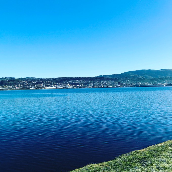 ECA7E9D1-4FC3-4B65-8052-DC56F51E8270